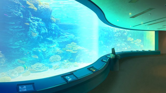 Okinawa Churaumi Aquarium Coral Sea